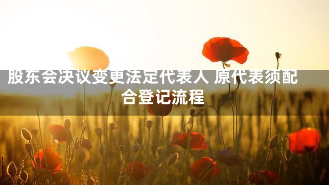 股东会决议变更法定代表人 原代表须配合登记流程