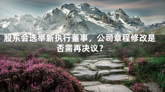 股东会选举新执行董事，公司章程修改是否需再决议？
