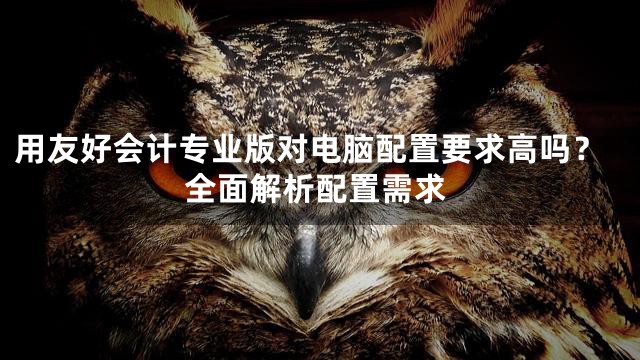 用友好会计专业版对电脑配置要求高吗？全面解析配置需求