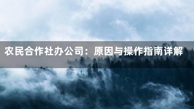 农民合作社办公司：原因与操作指南详解