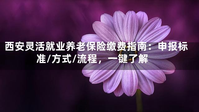 西安灵活就业养老保险缴费指南：申报标准/方式/流程，一键了解