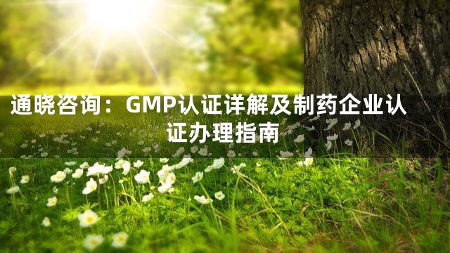通晓咨询：GMP认证详解及制药企业认证办理指南