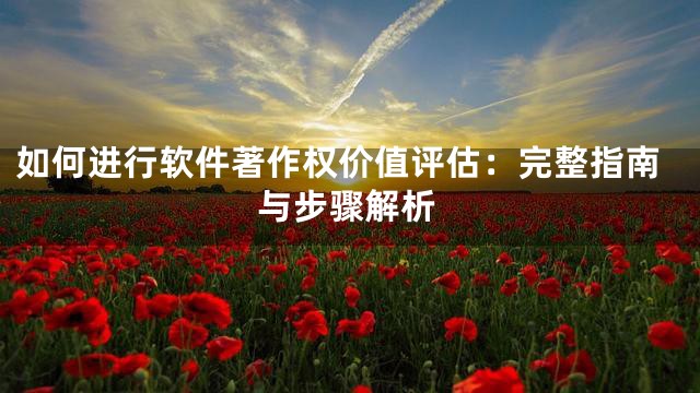 如何进行软件著作权价值评估：完整指南与步骤解析