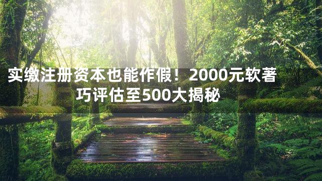 实缴注册资本也能作假！2000元软著巧评估至500大揭秘