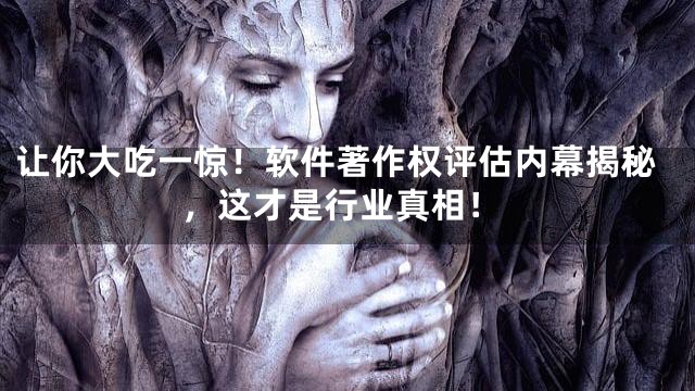 让你大吃一惊！软件著作权评估内幕揭秘，这才是行业真相！