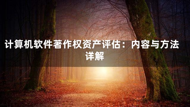 计算机软件著作权资产评估：内容与方法详解