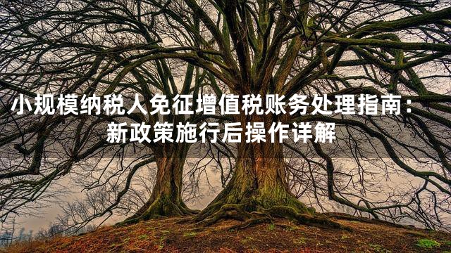 小规模纳税人免征增值税账务处理指南：新政策施行后操作详解