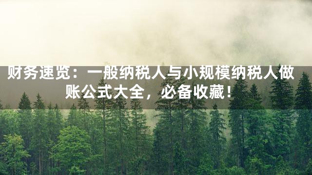 财务速览：一般纳税人与小规模纳税人做账公式大全，必备收藏！