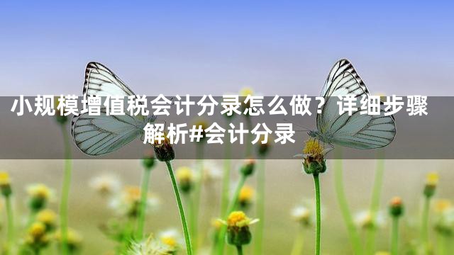 小规模增值税会计分录怎么做？详细步骤解析#会计分录
