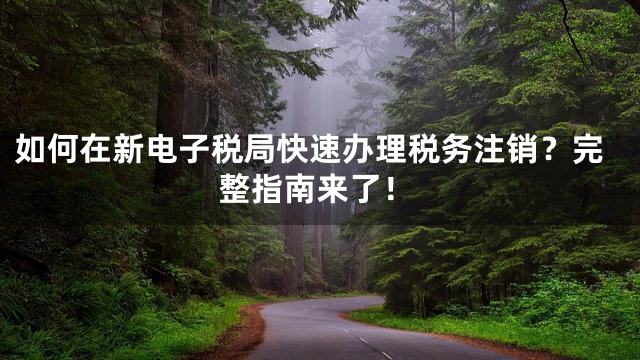 如何在新电子税局快速办理税务注销？完整指南来了！