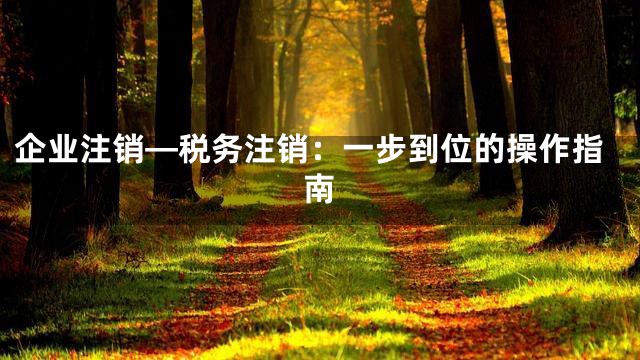 企业注销—税务注销：一步到位的操作指南