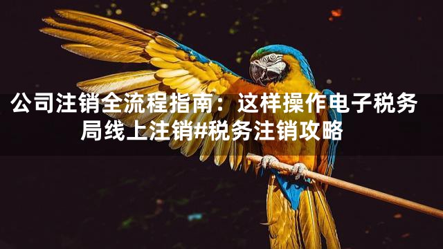 公司注销全流程指南：这样操作电子税务局线上注销#税务注销攻略