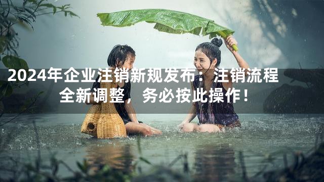 2024年企业注销新规发布：注销流程全新调整，务必按此操作！