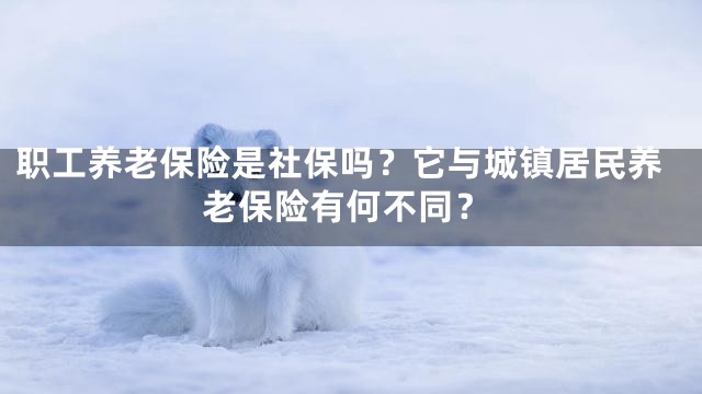 职工养老保险是社保吗？它与城镇居民养老保险有何不同？