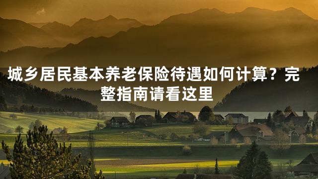 城乡居民基本养老保险待遇如何计算？完整指南请看这里