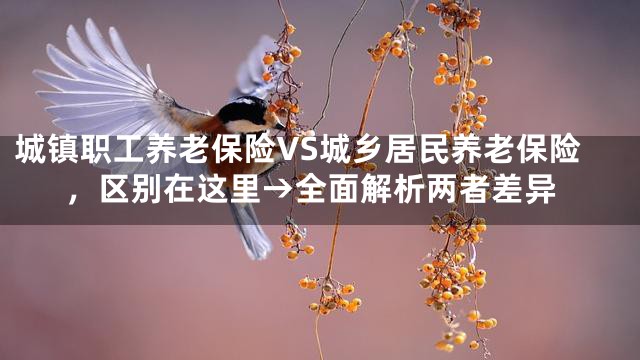 城镇职工养老保险VS城乡居民养老保险，区别在这里→全面解析两者差异