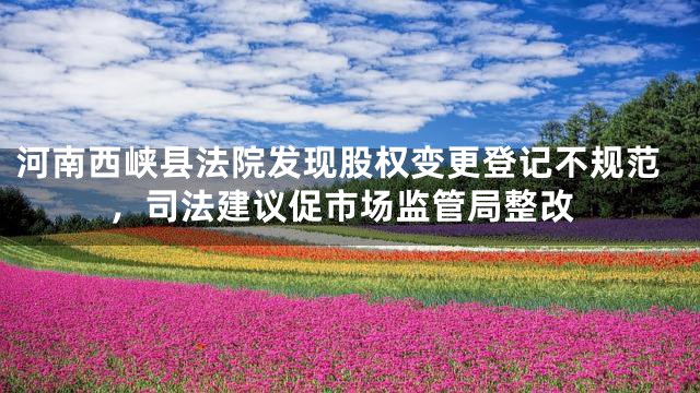河南西峡县法院发现股权变更登记不规范，司法建议促市场监管局整改