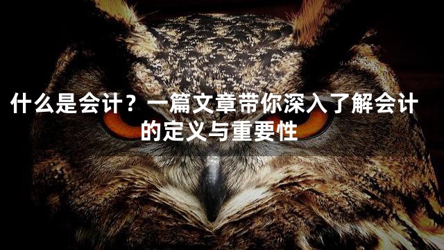 什么是会计？一篇文章带你深入了解会计的定义与重要性