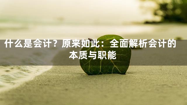 什么是会计？原来如此：全面解析会计的本质与职能