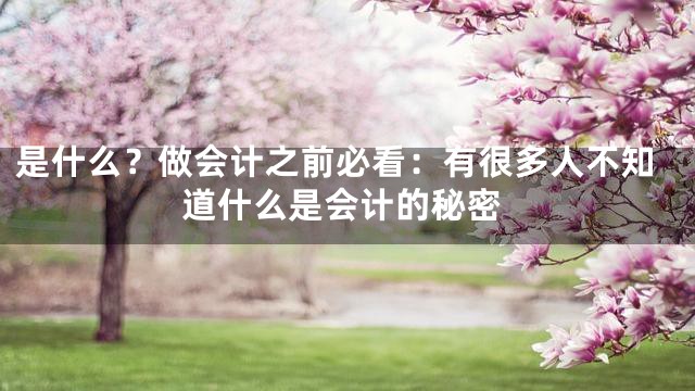 是什么？做会计之前必看：有很多人不知道什么是会计的秘密