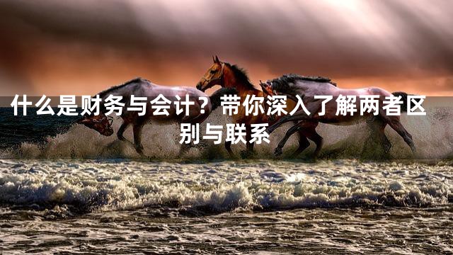 什么是财务与会计？带你深入了解两者区别与联系