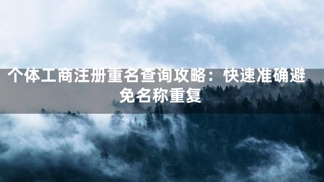 个体工商注册重名查询攻略：快速准确避免名称重复