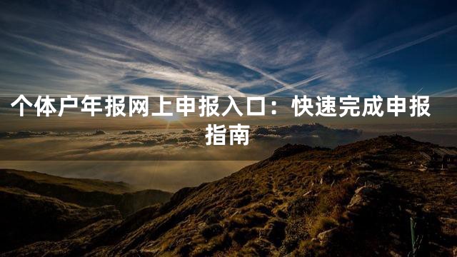 个体户年报网上申报入口：快速完成申报指南