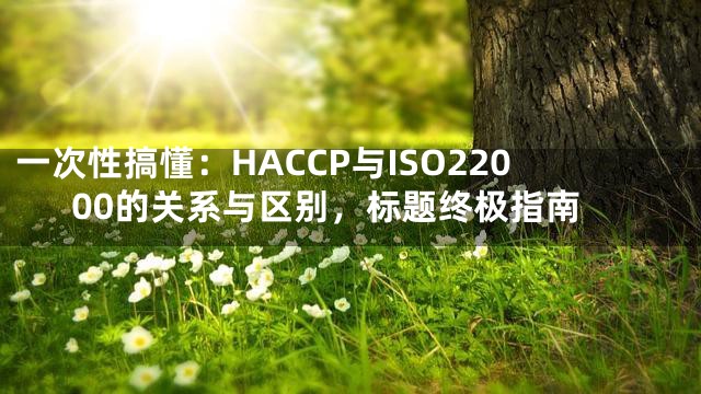 一次性搞懂：HACCP与ISO22000的关系与区别，标题终极指南