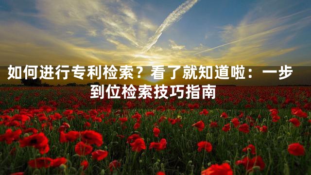 如何进行专利检索？看了就知道啦：一步到位检索技巧指南