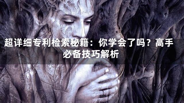 超详细专利检索秘籍：你学会了吗？高手必备技巧解析