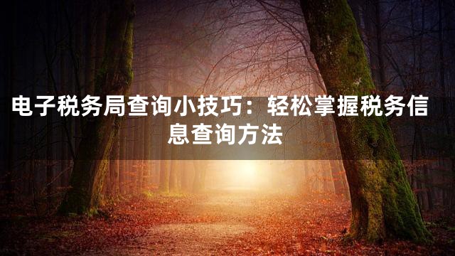 电子税务局查询小技巧：轻松掌握税务信息查询方法