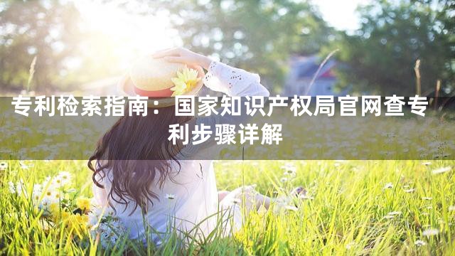 专利检索指南：国家知识产权局官网查专利步骤详解