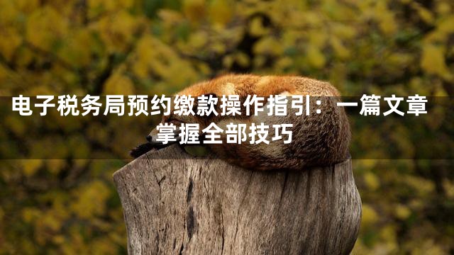 电子税务局预约缴款操作指引：一篇文章掌握全部技巧
