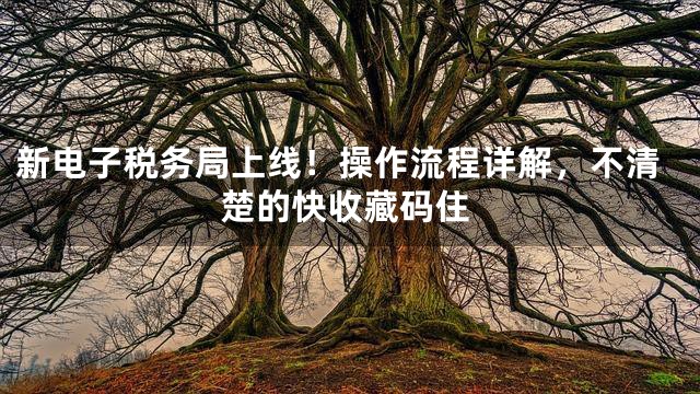 新电子税务局上线！操作流程详解，不清楚的快收藏码住