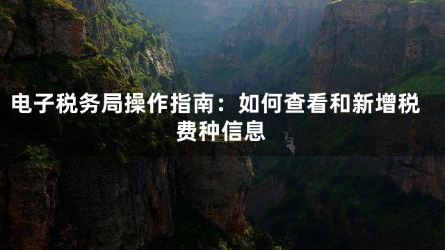 电子税务局操作指南：如何查看和新增税费种信息