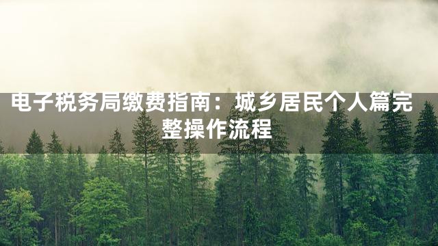 电子税务局缴费指南：城乡居民个人篇完整操作流程