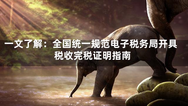 一文了解：全国统一规范电子税务局开具税收完税证明指南