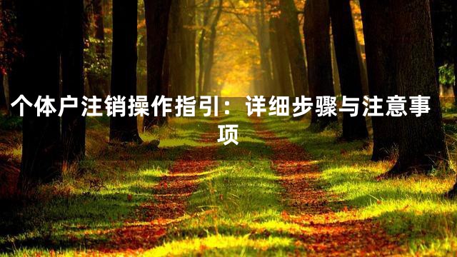 个体户注销操作指引：详细步骤与注意事项
