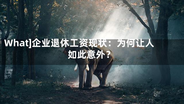 What]企业退休工资现状：为何让人如此意外？