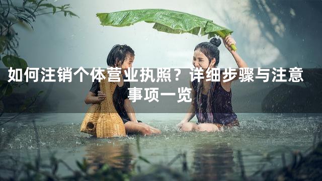 如何注销个体营业执照？详细步骤与注意事项一览