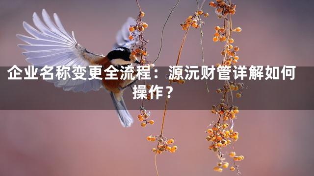 企业名称变更全流程：源沅财管详解如何操作？