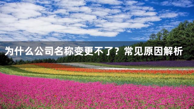 为什么公司名称变更不了？常见原因解析