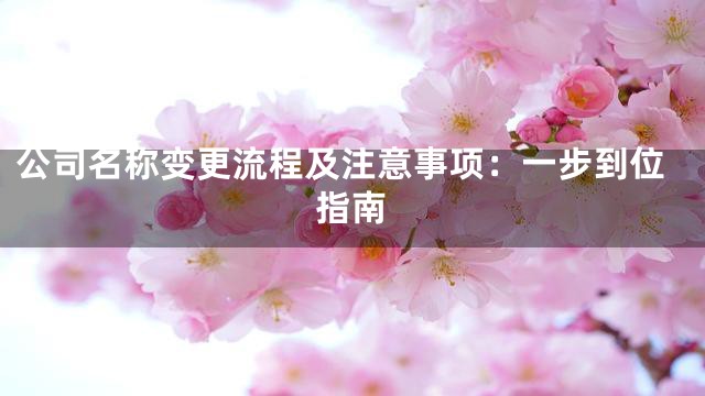 公司名称变更流程及注意事项：一步到位指南