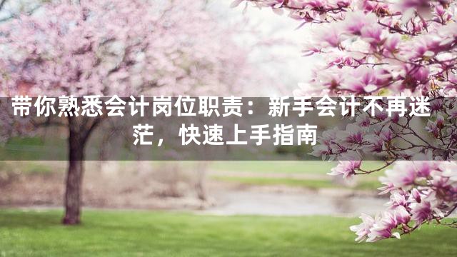 带你熟悉会计岗位职责：新手会计不再迷茫，快速上手指南
