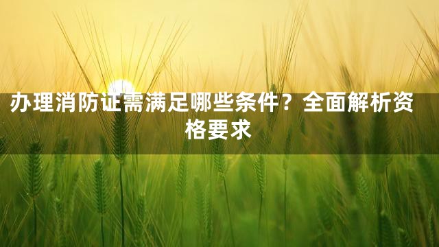 办理消防证需满足哪些条件？全面解析资格要求