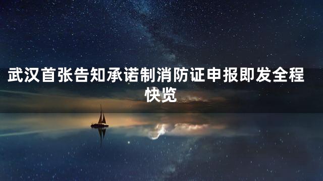武汉首张告知承诺制消防证申报即发全程快览