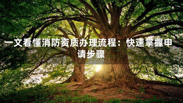 一文看懂消防资质办理流程：快速掌握申请步骤