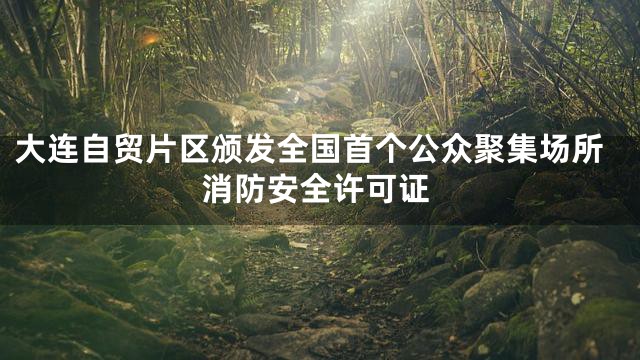 大连自贸片区颁发全国首个公众聚集场所消防安全许可证