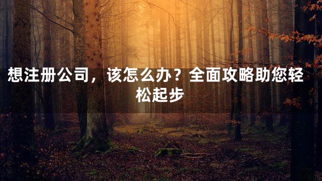 想注册公司，该怎么办？全面攻略助您轻松起步