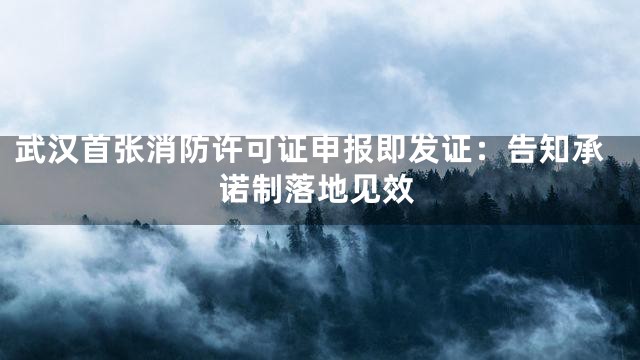 武汉首张消防许可证申报即发证：告知承诺制落地见效